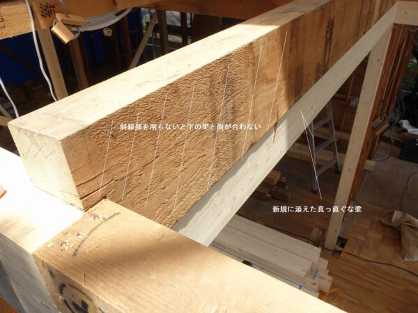 発寒の家Ⅲ　2023　